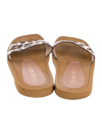 Stuart Weitzman Ponyhair Animal Print Slides