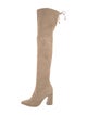 Stuart Weitzman Suede Boots