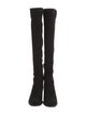 Stuart Weitzman Suede Boots