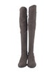 Stuart Weitzman Suede Boots