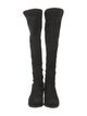 Stuart Weitzman Suede Boots