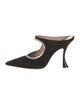 Stuart Weitzman Suede Crystal Embellishments Mules