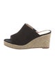 Stuart Weitzman Suede Espadrilles