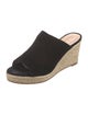 Stuart Weitzman Suede Espadrilles