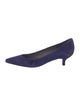 Stuart Weitzman Suede Pumps