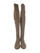 Stuart Weitzman Suede Boots