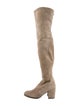 Stuart Weitzman Suede Boots