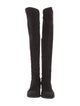 Stuart Weitzman Suede Boots