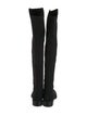 Stuart Weitzman Suede Boots