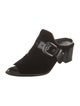 Stuart Weitzman Velvet Mules