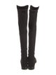 Stuart Weitzman Suede Boots