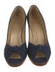 Stuart Weitzman Denim Pumps