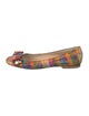Stuart Weitzman Printed Ballet Flats