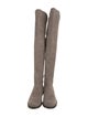 Stuart Weitzman Suede Boots