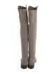 Stuart Weitzman Suede Boots