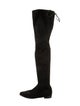 Stuart Weitzman Suede Boots