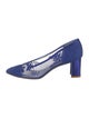 Stuart Weitzman Mesh Lace Pattern Pumps