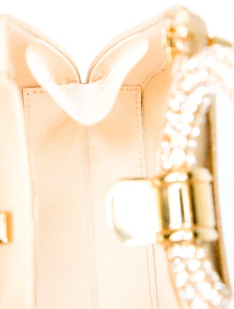 Stuart Weitzman Evening Bag