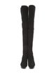 Stuart Weitzman Suede Boots