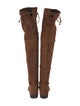Stuart Weitzman Suede Boots