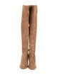 Stuart Weitzman Suede Boots