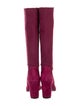 Stuart Weitzman Suede Boots