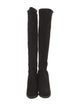 Stuart Weitzman Suede Boots
