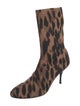 Stuart Weitzman Neoprene Animal Print Sock Boots