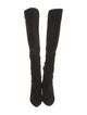 Stuart Weitzman Suede Boots
