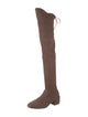 Stuart Weitzman Suede Boots