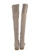 Stuart Weitzman Suede Boots