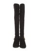 Stuart Weitzman Suede Boots