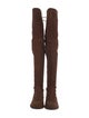 Stuart Weitzman Suede Boots