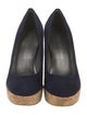 Stuart Weitzman Suede Pumps