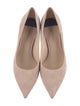 Stuart Weitzman Suede Pumps