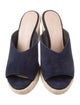 Stuart Weitzman Suede Espadrilles