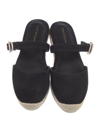 Stuart Weitzman Suede Mary Jane Flats