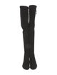 Stuart Weitzman Suede Boots