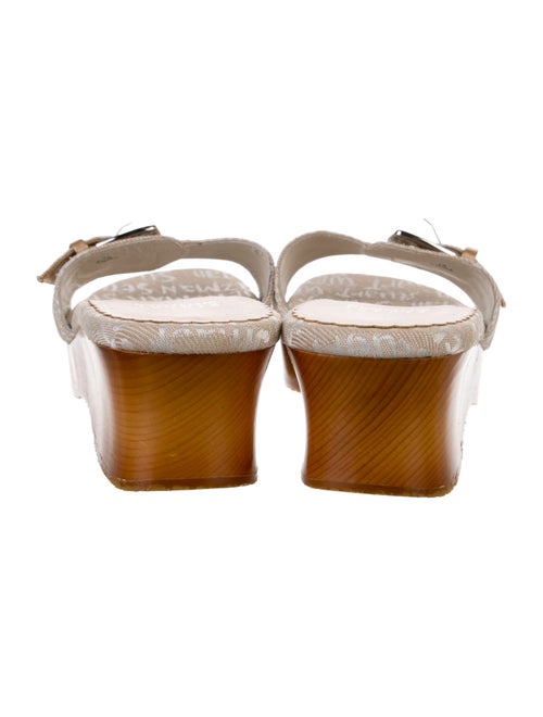 Stuart Weitzman Printed Slides