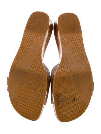 Stuart Weitzman Printed Slides