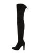 Stuart Weitzman Suede Boots