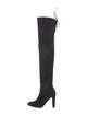 Stuart Weitzman Suede Boots