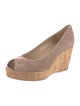 Stuart Weitzman Suede Pumps