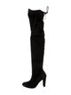 Stuart Weitzman Suede Boots