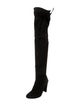 Stuart Weitzman Suede Boots