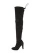 Stuart Weitzman Suede Boots
