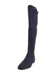 Stuart Weitzman Suede Boots