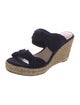 Stuart Weitzman Suede Espadrilles