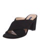Stuart Weitzman Suede Slides