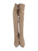 Stuart Weitzman Suede Boots